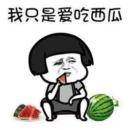 娱乐吃瓜君榜一,揭秘娱乐圈幕后风云